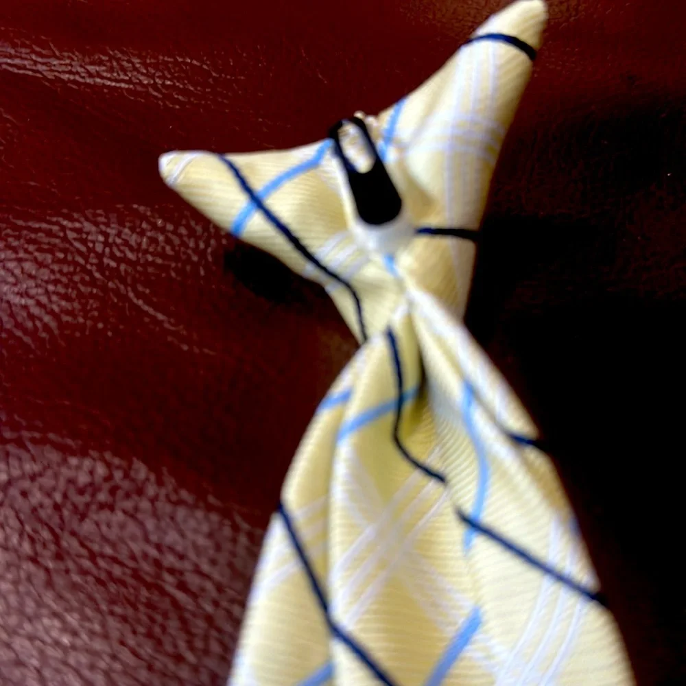 Boys clip on tie